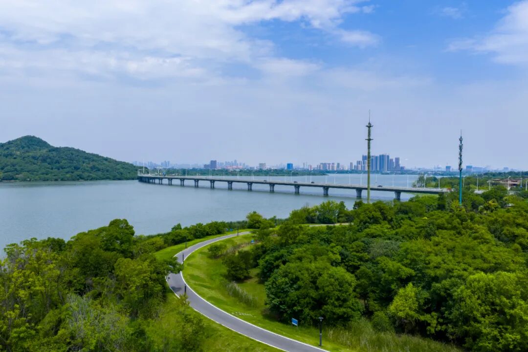 W020251117333703959414_ORIGIN pgµç×ÓÄ£ÄâÆ÷(ÖйúÓÎ)¹Ù·½ÍøÕ¾