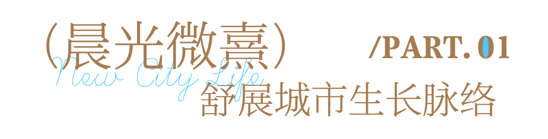 W020251117333704321130_ORIGIN pgµç×ÓÄ£ÄâÆ÷(ÖйúÓÎ)¹Ù·½ÍøÕ¾