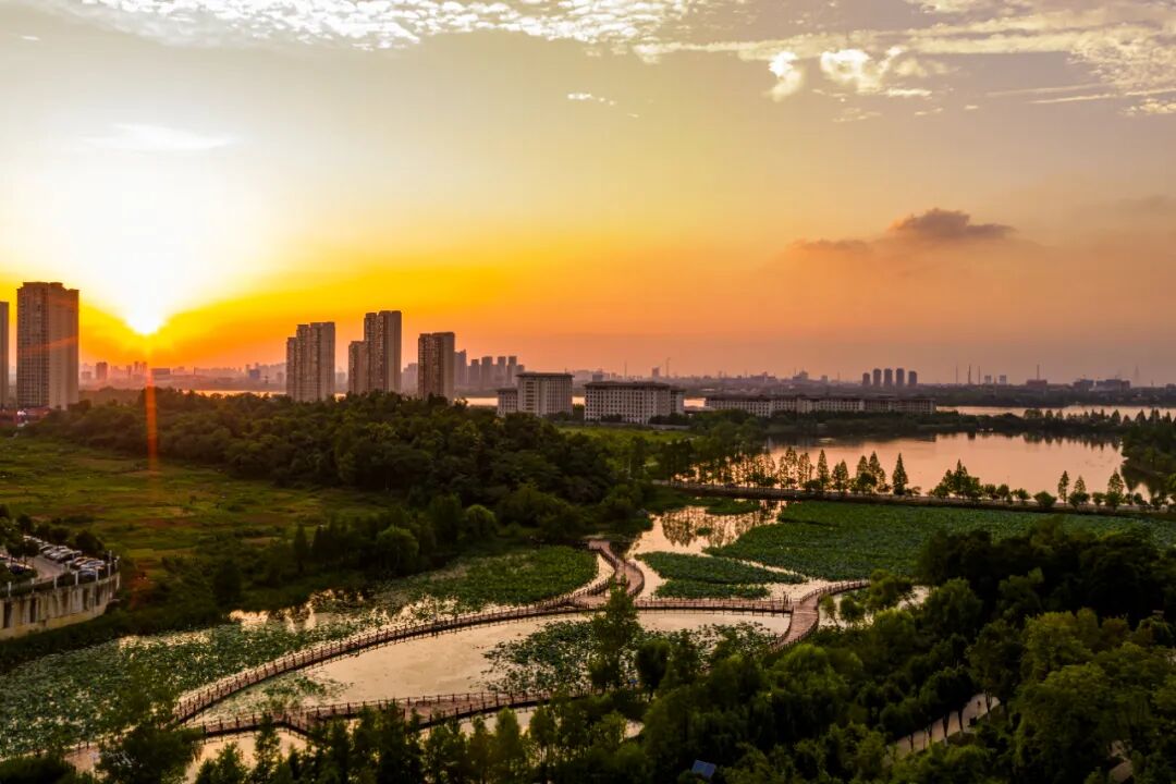 W020251117333709665999_ORIGIN pgµç×ÓÄ£ÄâÆ÷(ÖйúÓÎ)¹Ù·½ÍøÕ¾