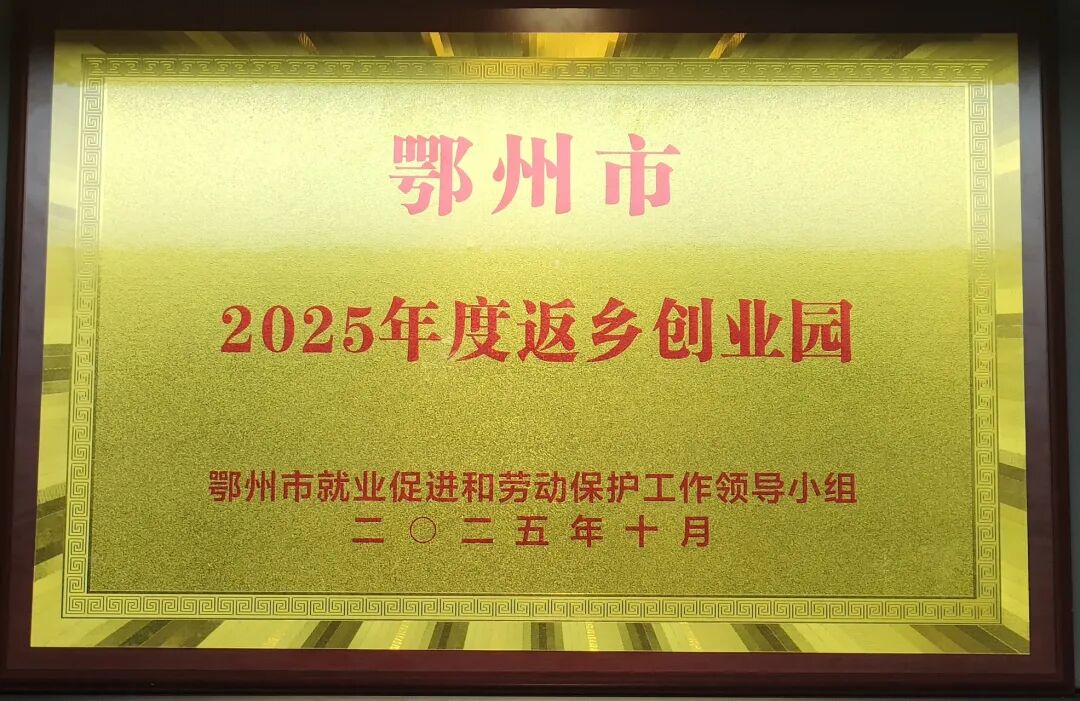 W020251117343542722177_ORIGIN pgµç×ÓÄ£ÄâÆ÷(ÖйúÓÎ)¹Ù·½ÍøÕ¾