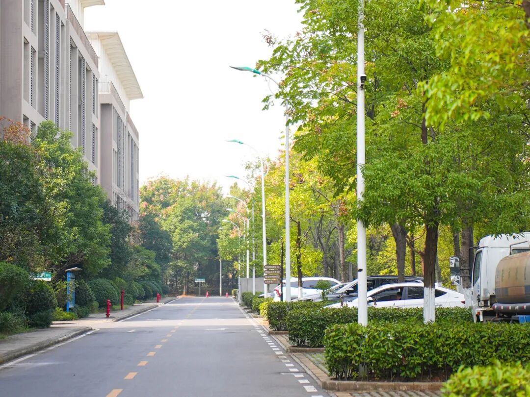 W020251117343543452427_ORIGIN pgµç×ÓÄ£ÄâÆ÷(ÖйúÓÎ)¹Ù·½ÍøÕ¾